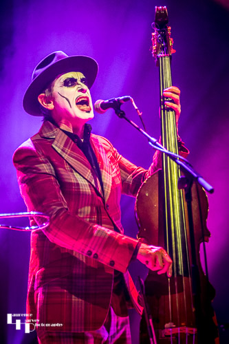 Adrian Stout on double bass & vocals