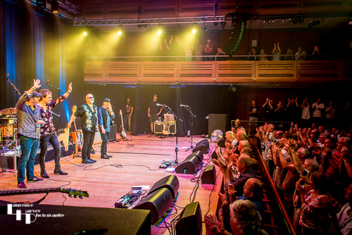 Wishbone Ash take their final bows at The Apex