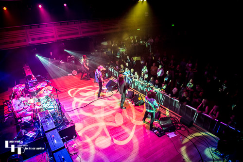 Black Spiders on stage at the Apex
