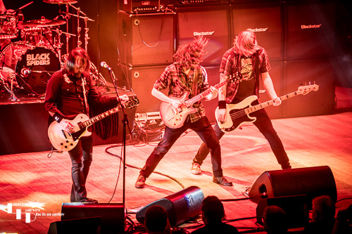 Black Spiders: Pete 'Spider' Spiby , & Mark 'Dark Shark' Thomas on guitars, Adam 'The Fox' Irwin on bass