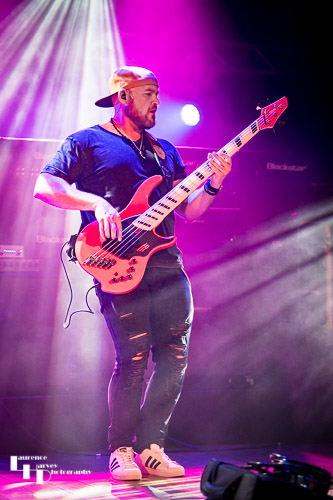 Circus 66: Luke Ward on bass