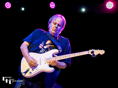 Walter Trout on vocals & guitar