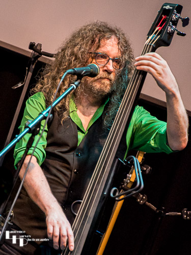 Dave Shalloe on double bass & vocals