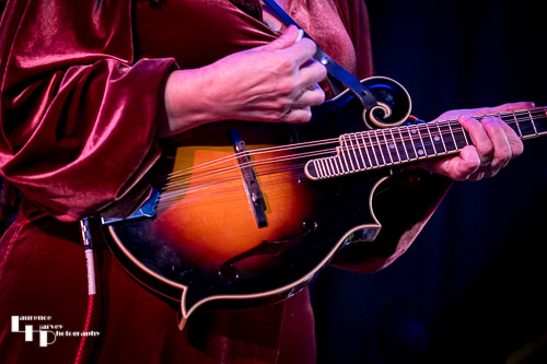 Jo Carley's mandolin