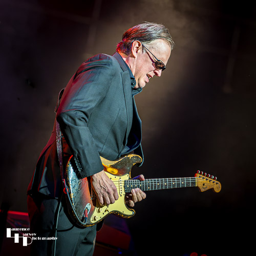 Joe Bonamassa on vocals & guitar