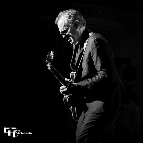 Joe Bonamassa on vocals & guitar