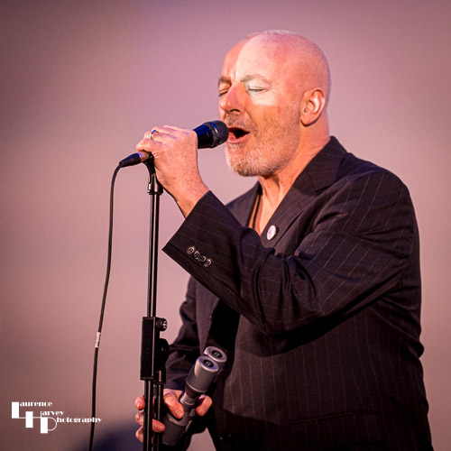 The Annex: Ben Sharratt on vocals