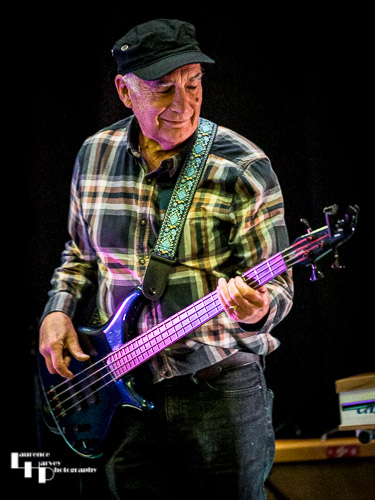 Miles Steeden on bass