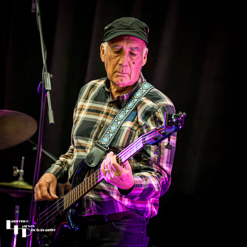 Miles Steeden on bass