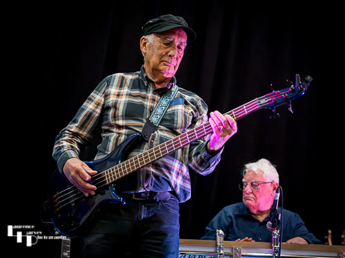 Miles Steeden on bass