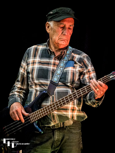 Miles Steeden on bass