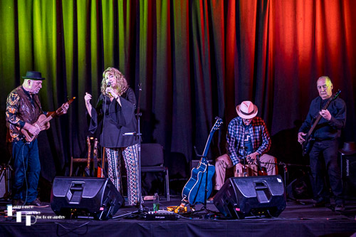 Home Cooked Blues on stage at The John Peel Centre