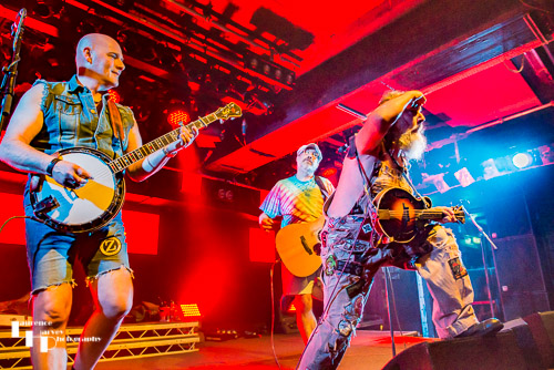 Hayseed Dixie on stage at The Waterfront