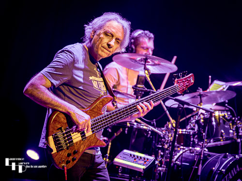 David de Marez Oyens on bass