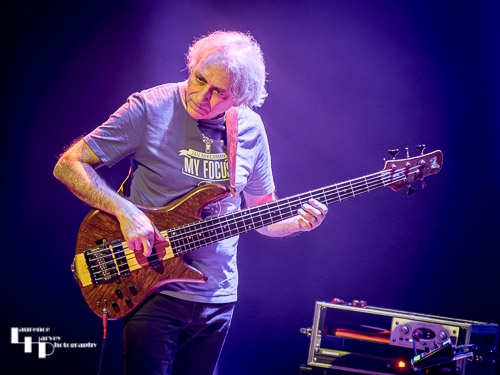 David de Marez Oyens on bass