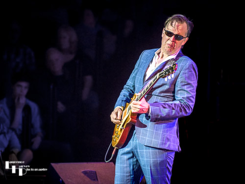Joe Bonamassa on vocals & guitar