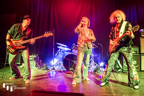 Led Free & Co on stage at The Cut