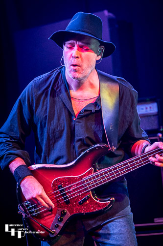 Rob Scholes on bass