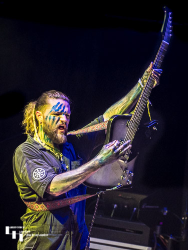 Arran Tarvet on guitar