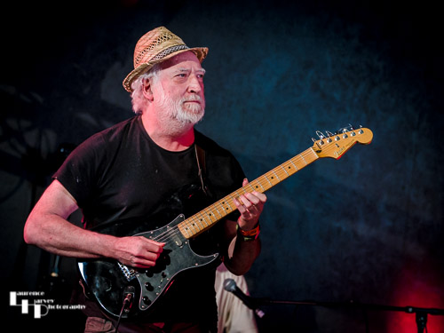 Steppers Division guest jamming with the band