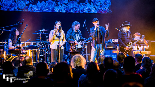 The Blue Lena on stage at Cambridge Junction 2