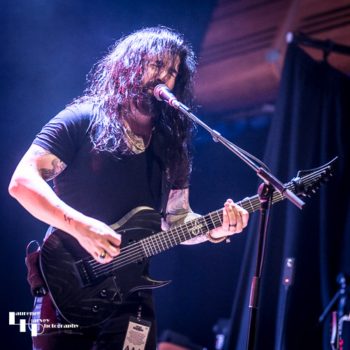 Michael James on guitar