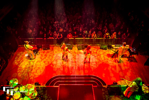 Voulez Vous on stage at The Apex