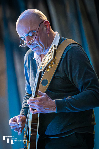 Dave Webster on guitar