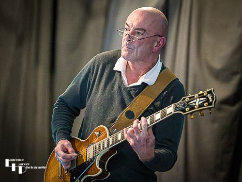 Dave Webster on guitar