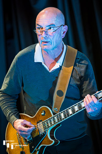 Dave Webster on guitar