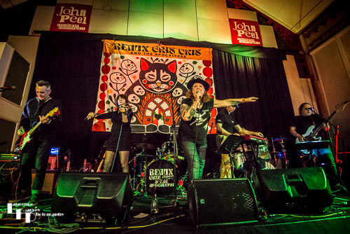 The Wicked Ravens on stage at The John Peel Centre