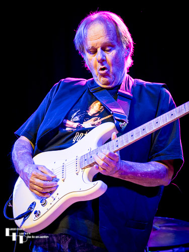Walter Trout on vocals & guitar