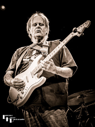 Walter Trout on vocals & guitar