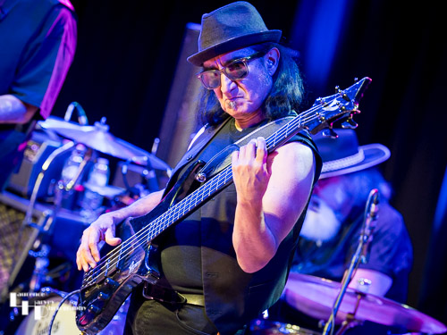 John Avila on bass