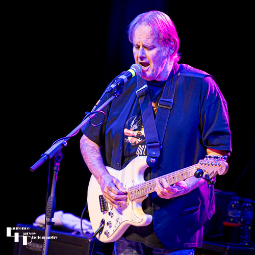 Walter Trout on vocals & guitar