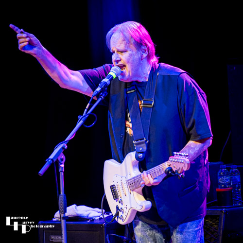 Walter Trout on vocals & guitar