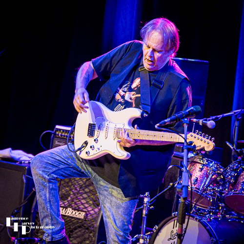 Walter Trout on vocals & guitar