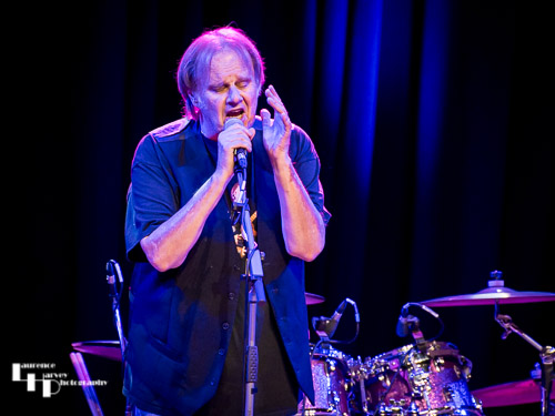 Walter Trout on vocals & guitar