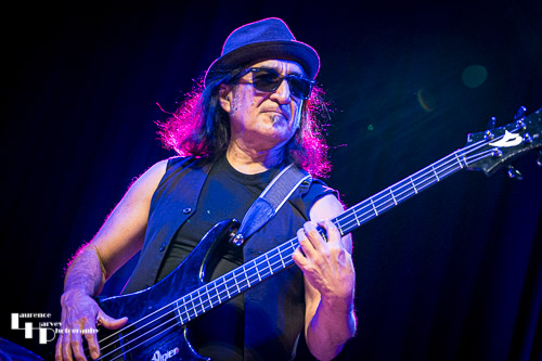 John Avila on bass