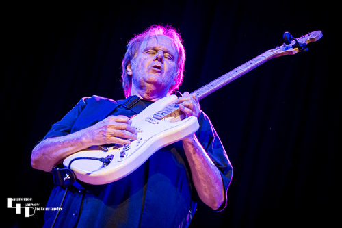Walter Trout on vocals & guitar