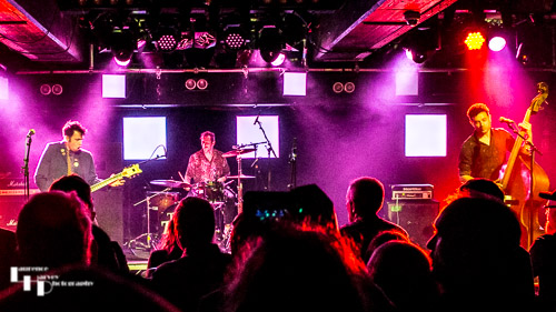 The Zipheads on stage at The Waterfront