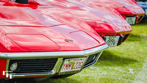 Row of red Corvettes