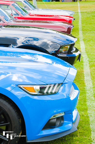 Row of BMW's?