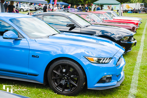 Row of BMW's?