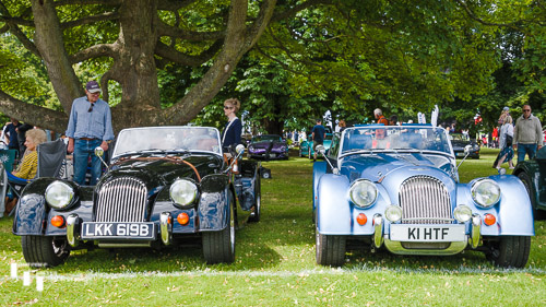 A pair of Morgans