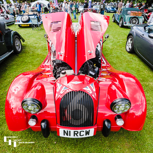 Modern Red Morgan