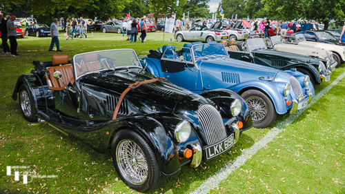Line of classic Morgans