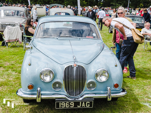 Classic Jaguar