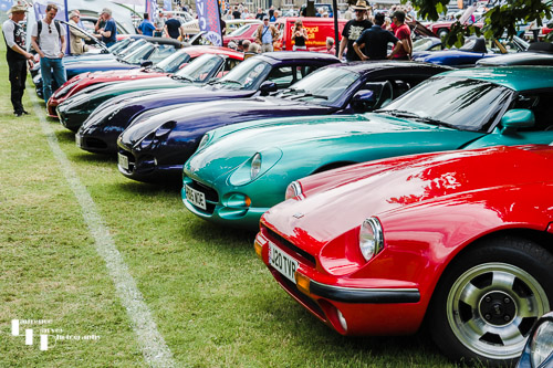 Row of TVR's