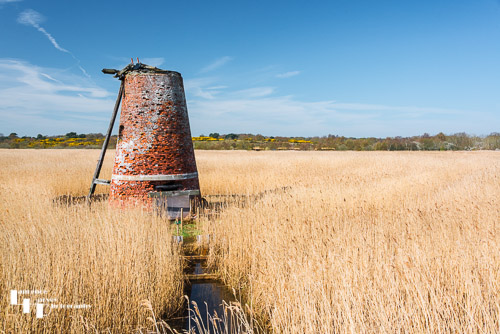 Disused wind pump south of Walberswick